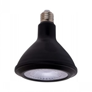 Ambius 15Watt LED PAR38 Lamp